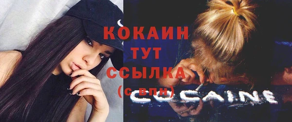 spice Липки