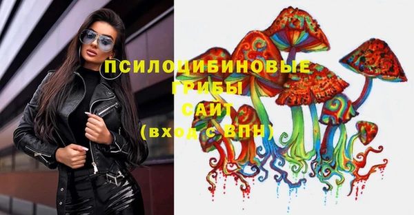 PSILOCYBIN Яровое